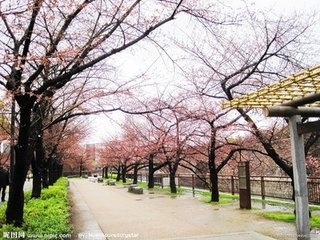 日本大阪城公园