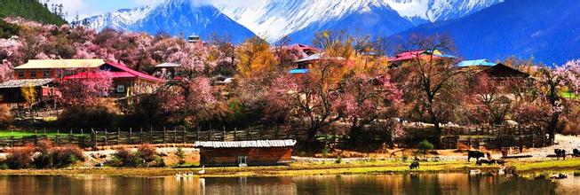 南京拉萨布达拉宫大昭寺林芝全景纯玩双卧十二日游