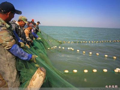 出海捕鱼